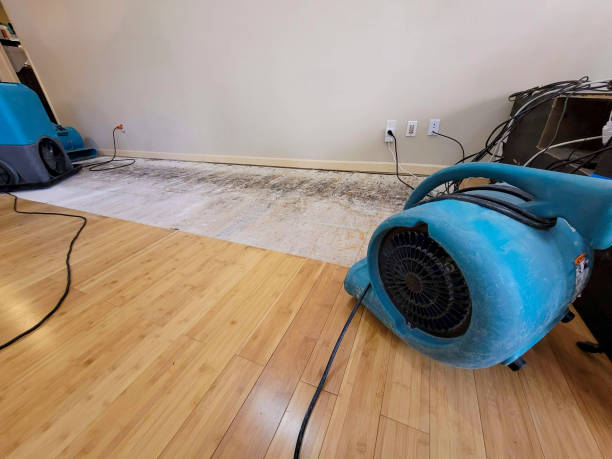 Professional Emergency Water Damage technician working in Herman, NE